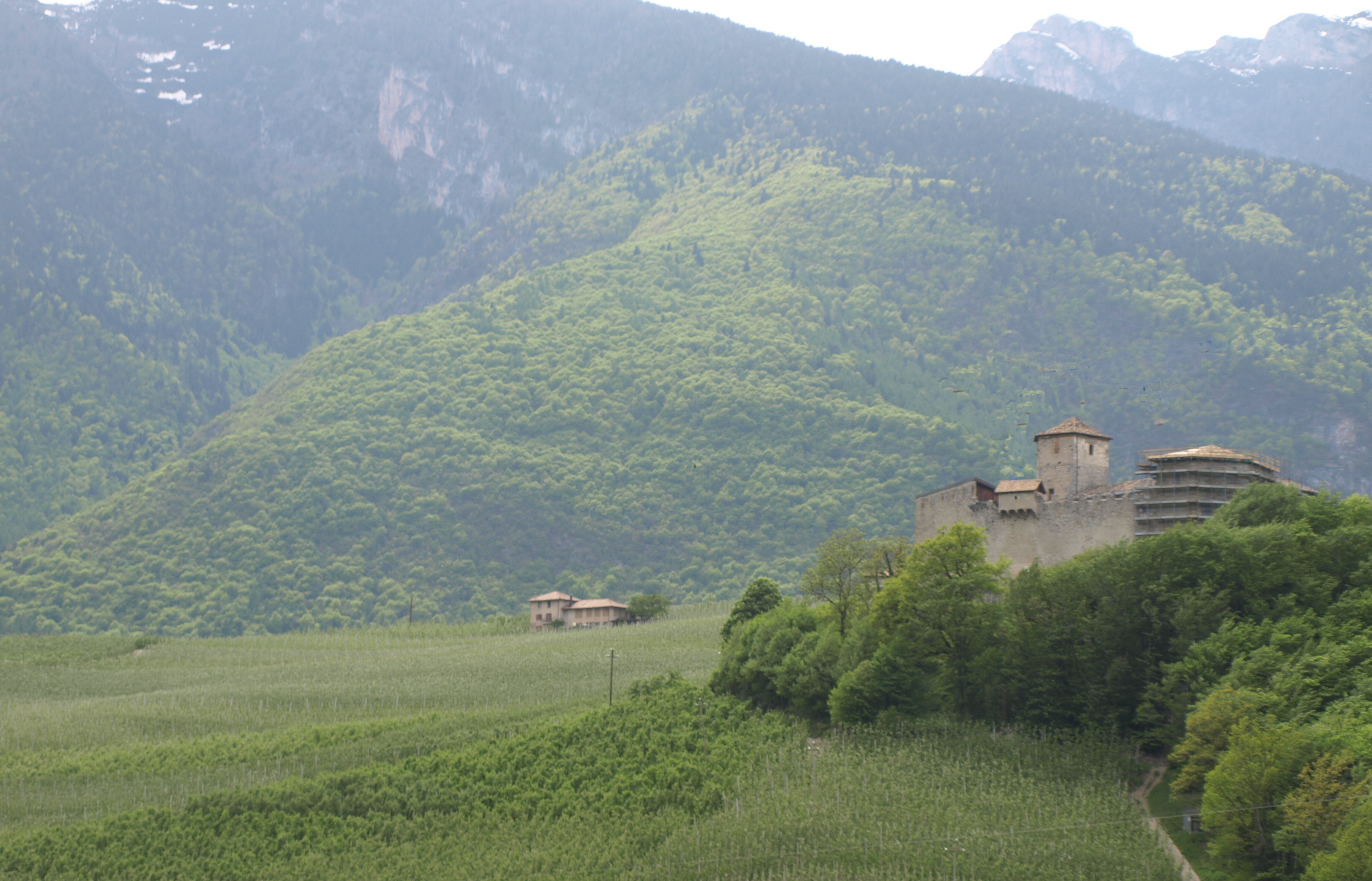 Castel Belasi