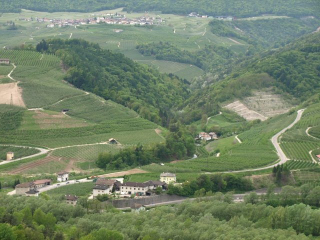 Cressino_2
